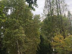 -T80科技文化国际社区-停车场