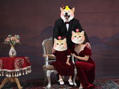 -正午照相馆·全家福·证件照·轻写真