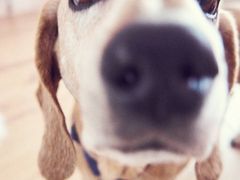 -年巴羊肉铺老铜锅(梅江店)