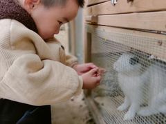 -蒙蒙狮蒙台梭利儿童之家