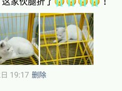 -中农大我爱我爱24h动物医院·中医针灸·猫专科·骨科医疗中心(双井店)
