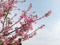 -艾溪湖湿地公园