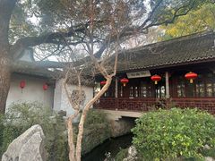 -上海醉白池公园