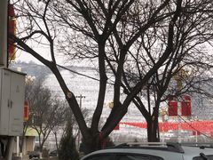 -胖子鱼·天水麻辣鱼火锅(秦州407店)