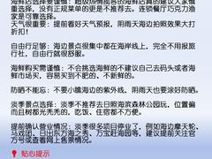 -日照海滨国家森林公园