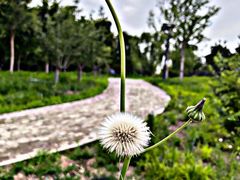 -将府公园