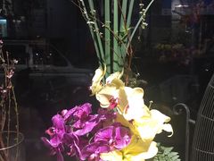 -弗劳尔花艺坊(龙涛店)