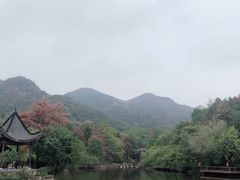 -黄陂区野村谷景区