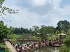 -成飞公园