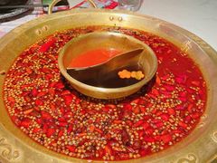-哥老官重庆美蛙鱼头(宝山龙湖店)