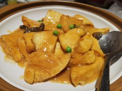 羊肚菌焖河源豆腐-大鸽饭(体育西路店)
