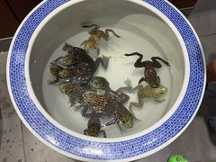 -鸽子窝(宋庄店)
