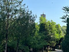 -象山森林公园