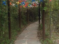 -南窖乡水峪村山情农家