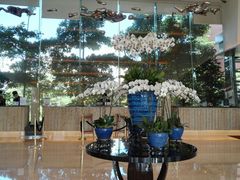 前台-深圳观澜格兰云天国际酒店