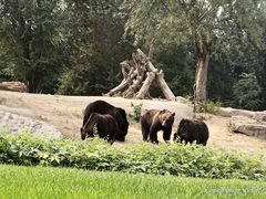 -北京野生动物园