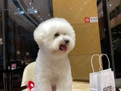 -comecome来吧宠物(奥克斯中心店)