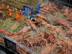 -渔傅·霞浦滩涂海鲜(建平店)