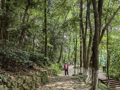 -杭州半山国家森林公园