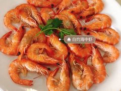 清蒸基圍蝦-旺富东海大酒楼(海鲜街店)