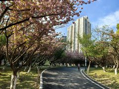 -苏州河梦清园环保主题公园