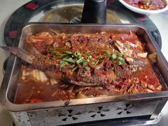 -陈生记黑鱼馆·20年活鱼现杀(宁波鼓楼店)