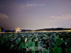 -杭州西湖柳莺里酒店·闻莺厅