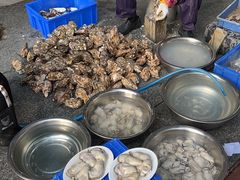 -花苑美食横琴生蚝火锅(拱北粤华路店)