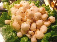 -凤园椰珍·臻品椰子鸡(保利时光里店)