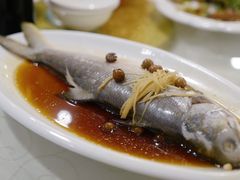 破布子午鱼-光头匠