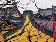 -灵顺寺