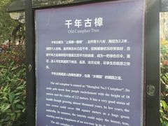 -韩湘水博园