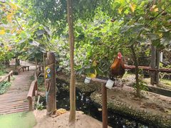 -呀路古热带植物园