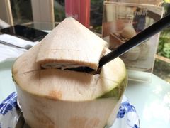 -Fern Forest Cafe
