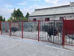 -有喜胶东小馆(太申祥和店)