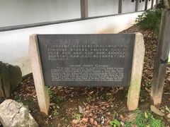 -雨花胜境
