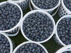 -南坛综合农贸市场