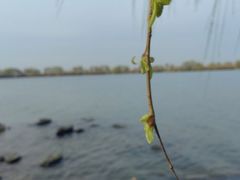 -漕湖湿地公园