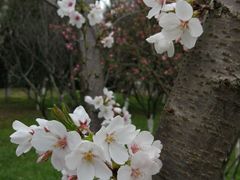 -长春观斋补堂素菜馆