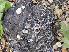 -白草畔自然风景区