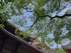-涂山寺素食餐厅