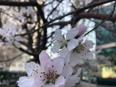 -乌鲁木齐市第二十三中学