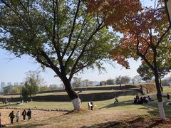 -盘龙城国家考古遗址公园