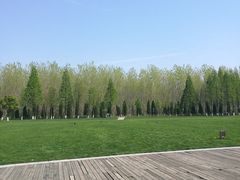 -合肥滨湖国家森林公园