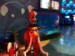 -烟台海昌鲸鲨海洋公园