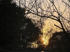 -福道