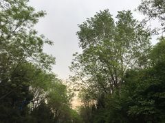-森林公园(尖草坪区)