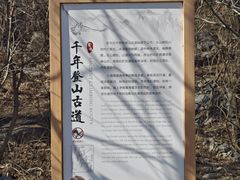 -北京鹫峰国家森林公园