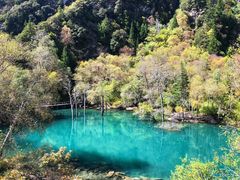-叠溪松坪沟景区