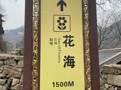 -木兰云雾山
